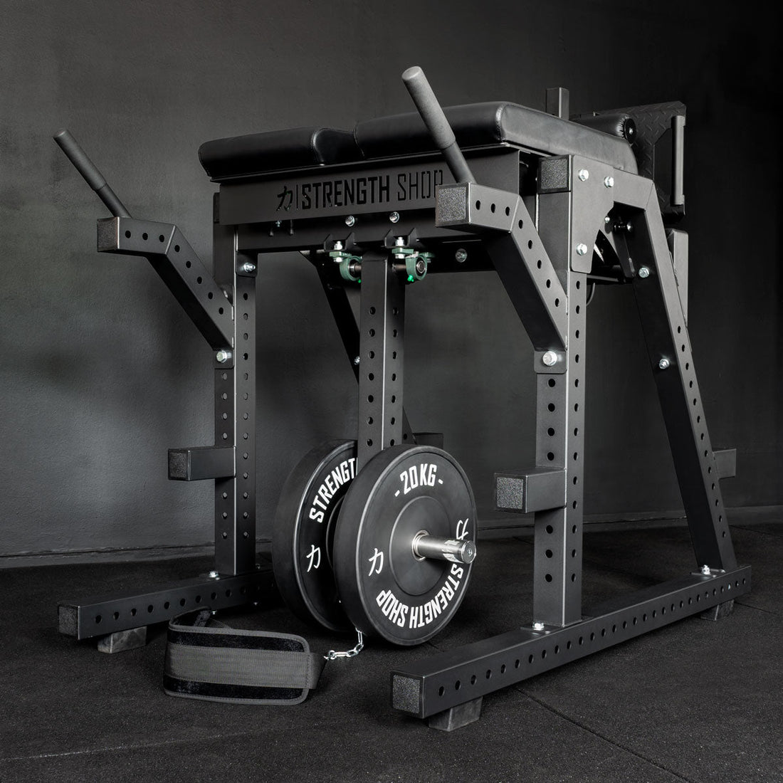 Reverse Hyper / GHD Combo Machine